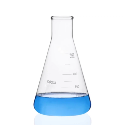 Erlenmeyer Flask in Laboratory
