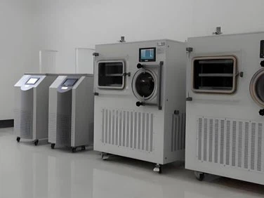 Small Freeze Dryer For Home Use | Shaanxi Achieve chem-tech Small Freeze Dryer For Home Use | Shaanxi Achieve chem-tech