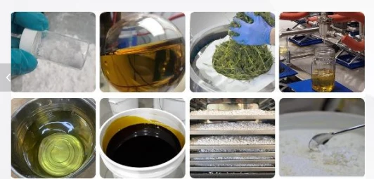 CBD drying sample CBD drying sample